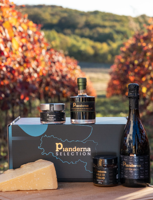 BOX 8 - Eleganza Reggiana