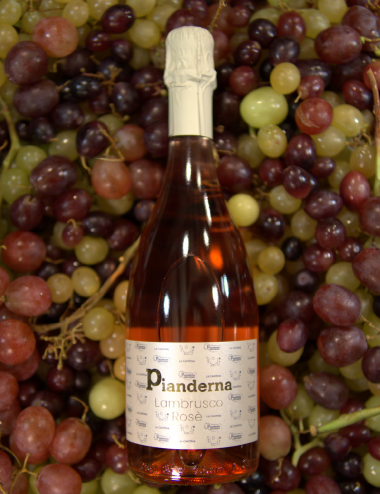 Lambrusco DOC Rosé Brut | Trockener Schaumwein