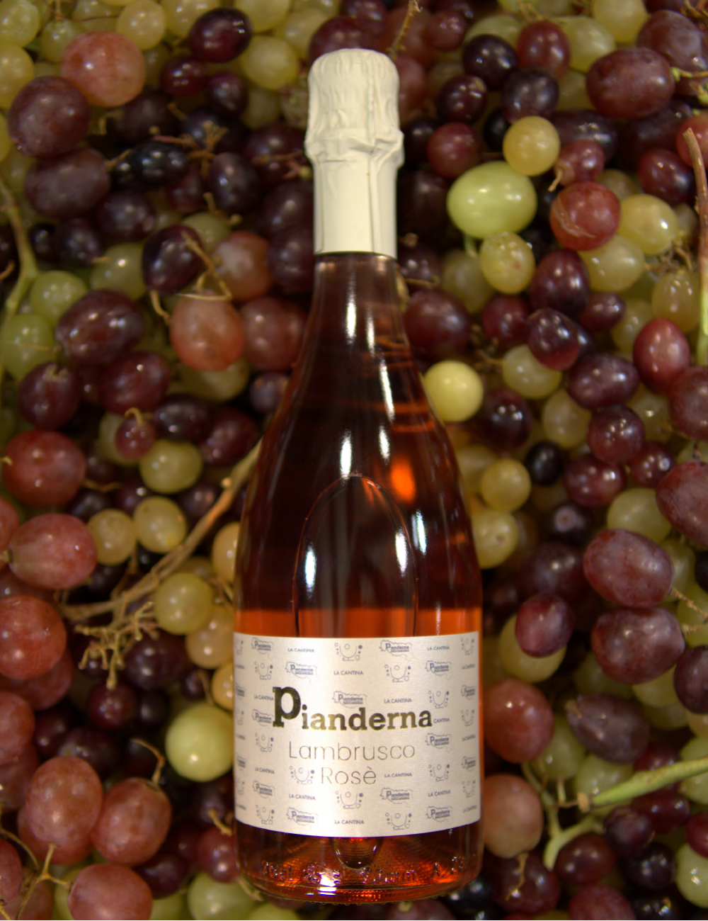 Lambrusco DOC Rosé Brut | Trockener Schaumwein