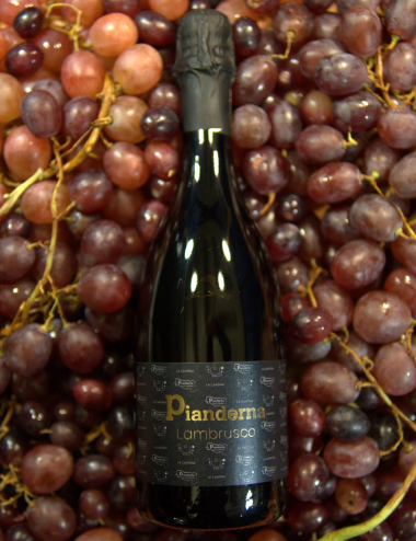Lambrusco D.O.C. | Sparkling wine from Emilia